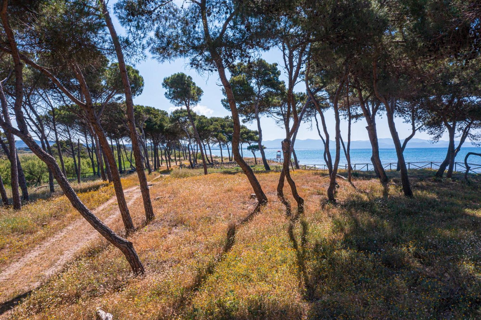 Parco vacanze Villaggio Orizonte 3号*
